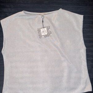 Rylee Moon Women's Silver Sleeveless Ribbed Crop Top Size XL